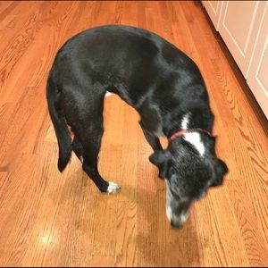 Meet your Posher, Derek